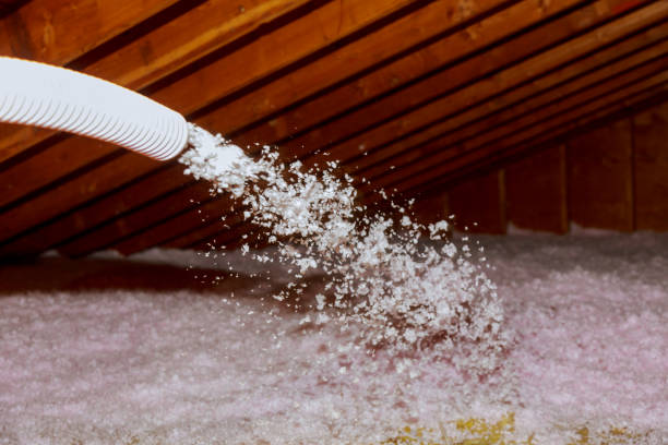Best Residential Insulation in Chilton, WI