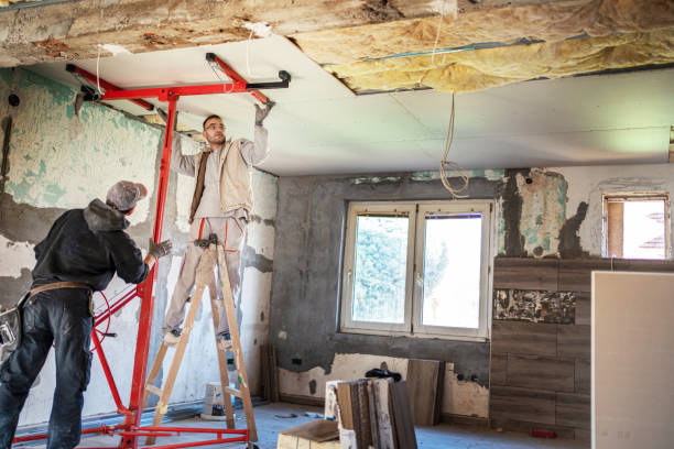 Best Eco-Friendly Insulation in Chilton, WI